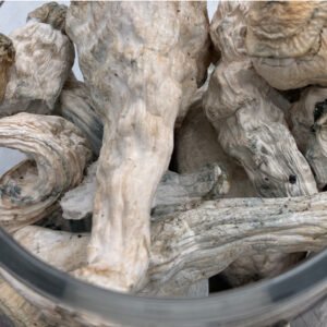 Buy Lucid Gates Magic Mushrooms | 7-28g Qty Dried Mushrooms