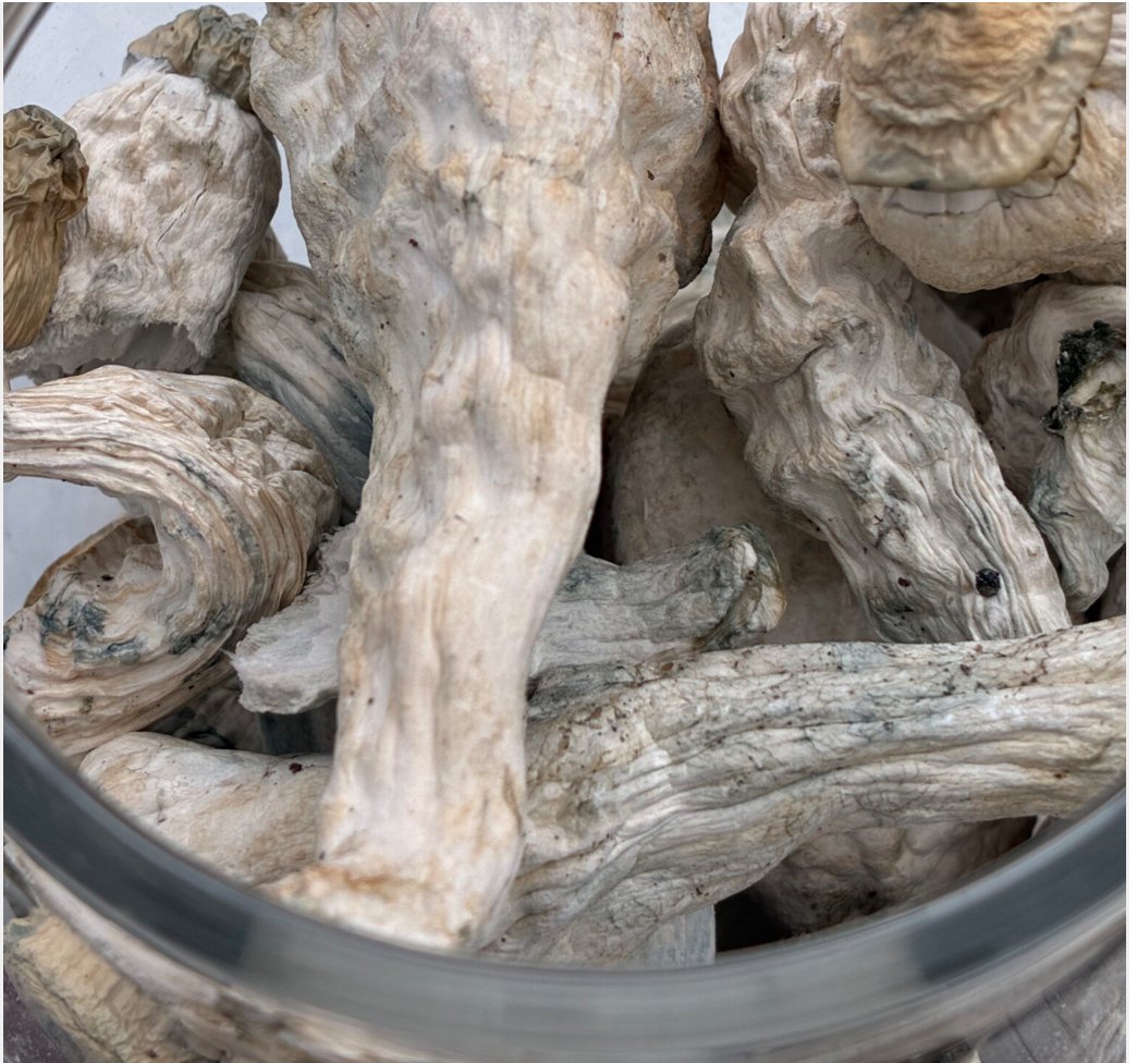 Buy Lucid Gates Magic Mushrooms | 7-28g Qty Dried Mushrooms