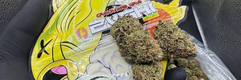 🌞 Yellow Zushi by The Ten Co — A Burst of Energy, Flavor, and Premium Craft