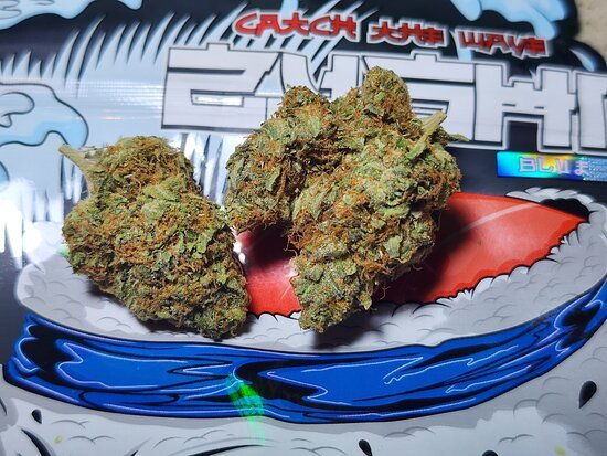 🛒Where to Buy Authentic Blue Zushi by The Ten Co Online: Verified Sources & Tips