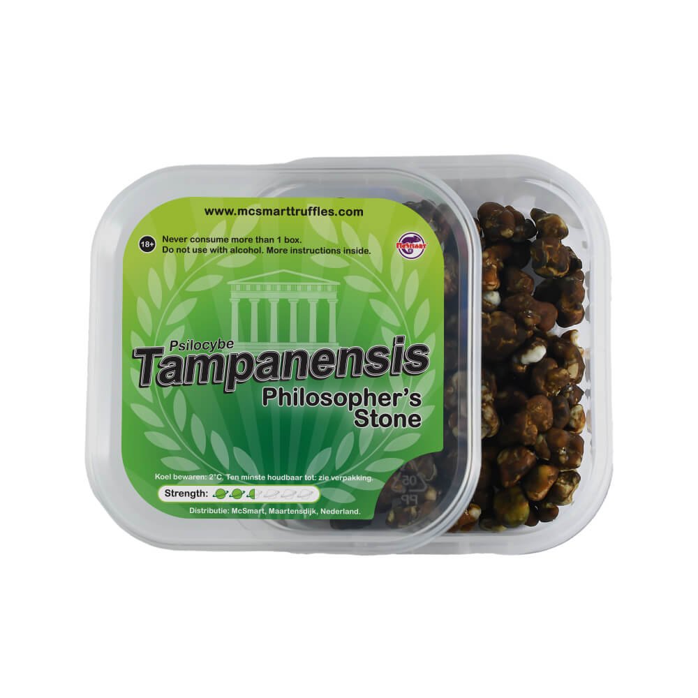 Psilocybe Tampanensis Magic Truffles | 15g